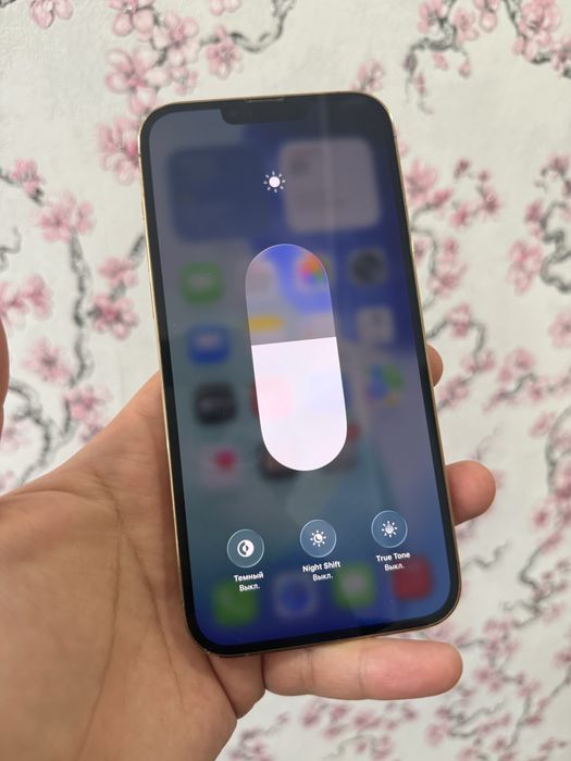 Iphone 13 pro max 256gb