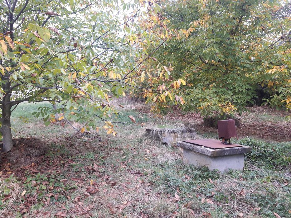 Голям парцел в 7855 Бракница
