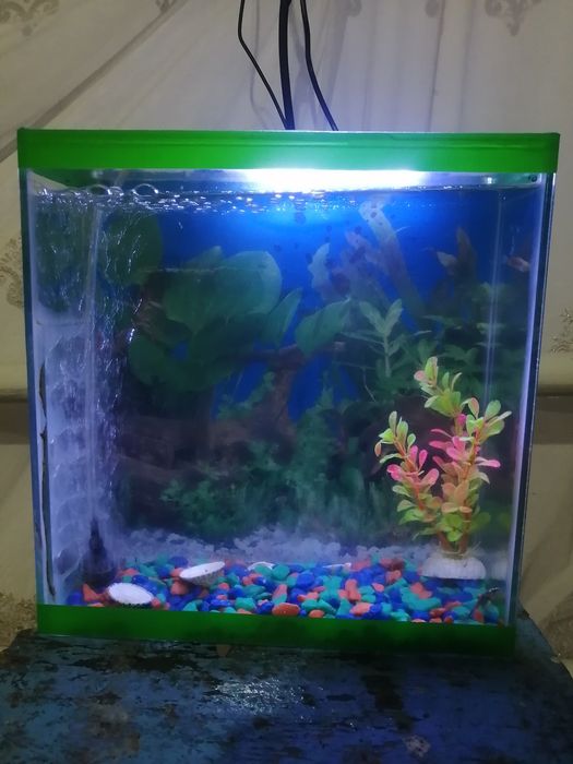 Продам аквариум 10 л