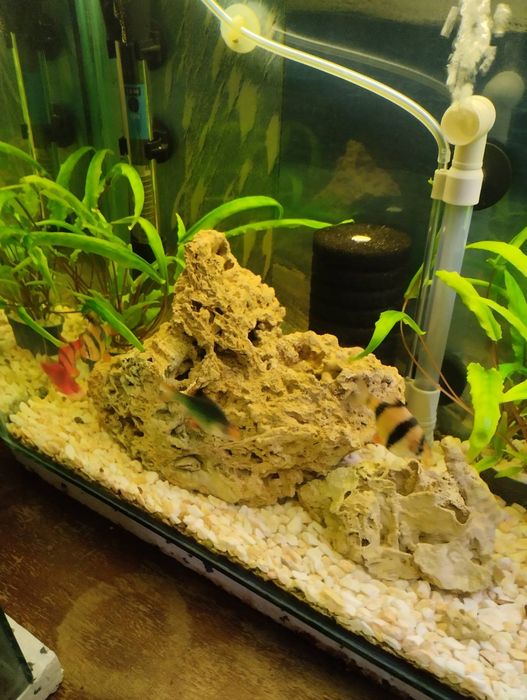 Естествен декоративен камък Бигор