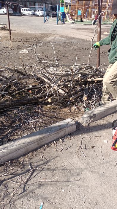 Дрова ветки даром