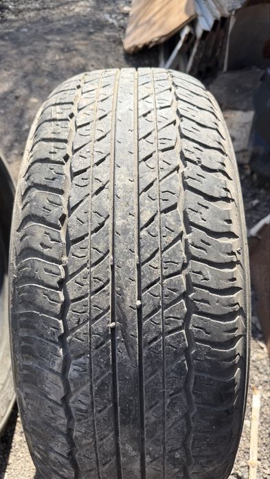 Продам резину R17 Dunlop
