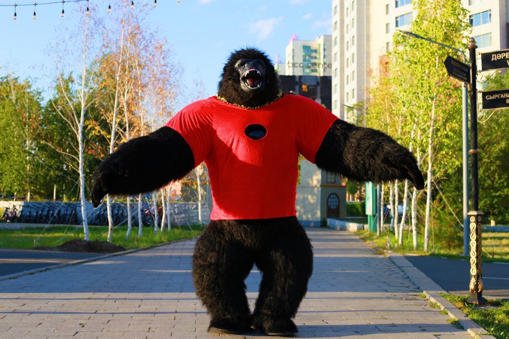 Аниматор Астана Горилла  Панда Человек Паук