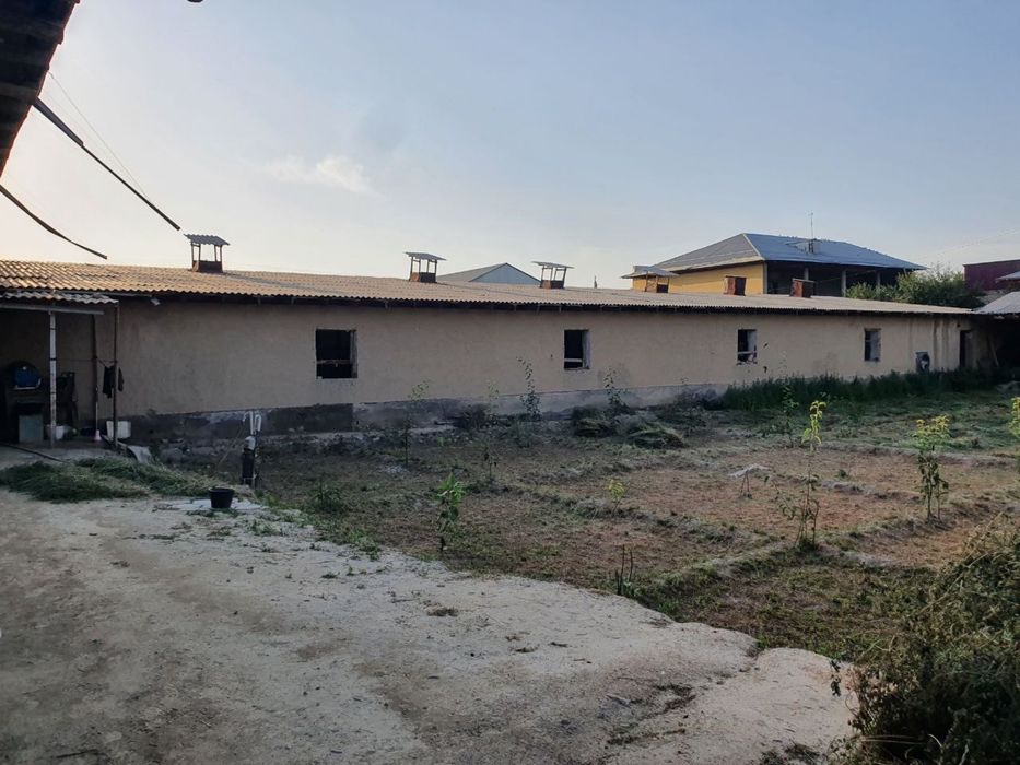 Molxona , ferma sotiladi