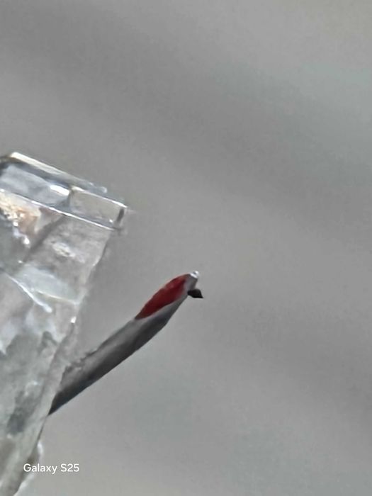 Шелл с головкой Sanyo Silver