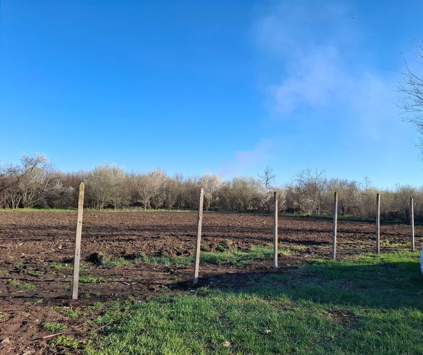 Имот 2800 кв.м. в с. Борован