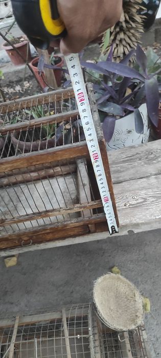 Клетка ,катаклар