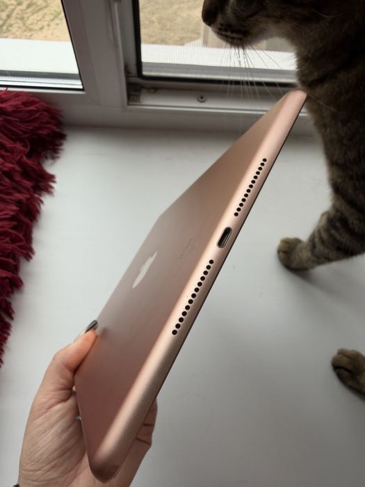 Ipad 6го поколения