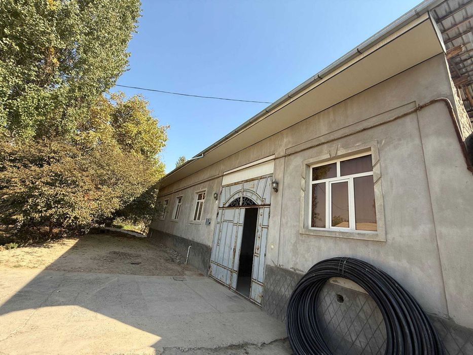 Уй 8 сотих 8 хона, биринчи линия Тинчликда