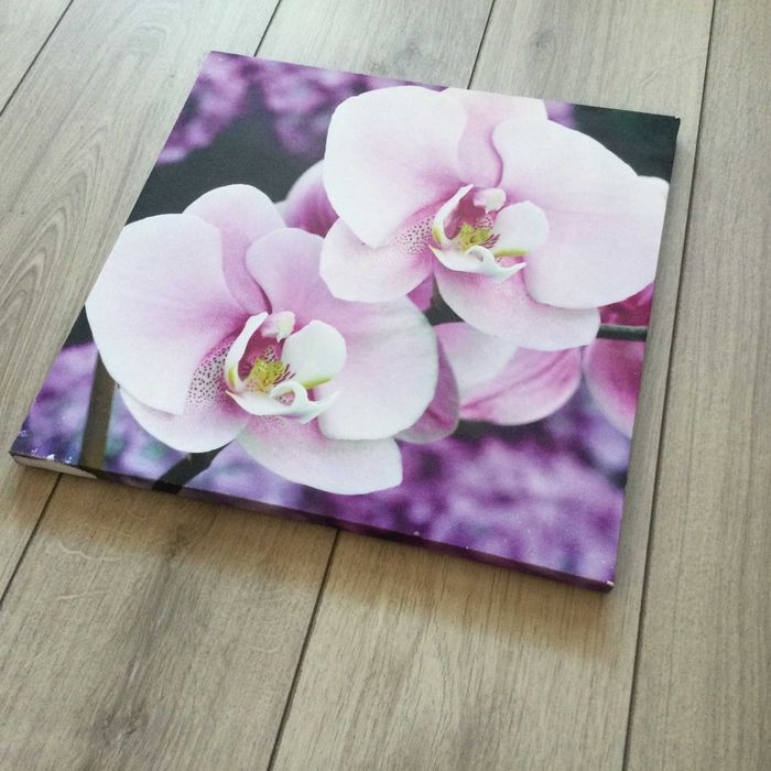 НОВА лилава / виолетова картина / репродукция на цвете 38,5 х 39 см