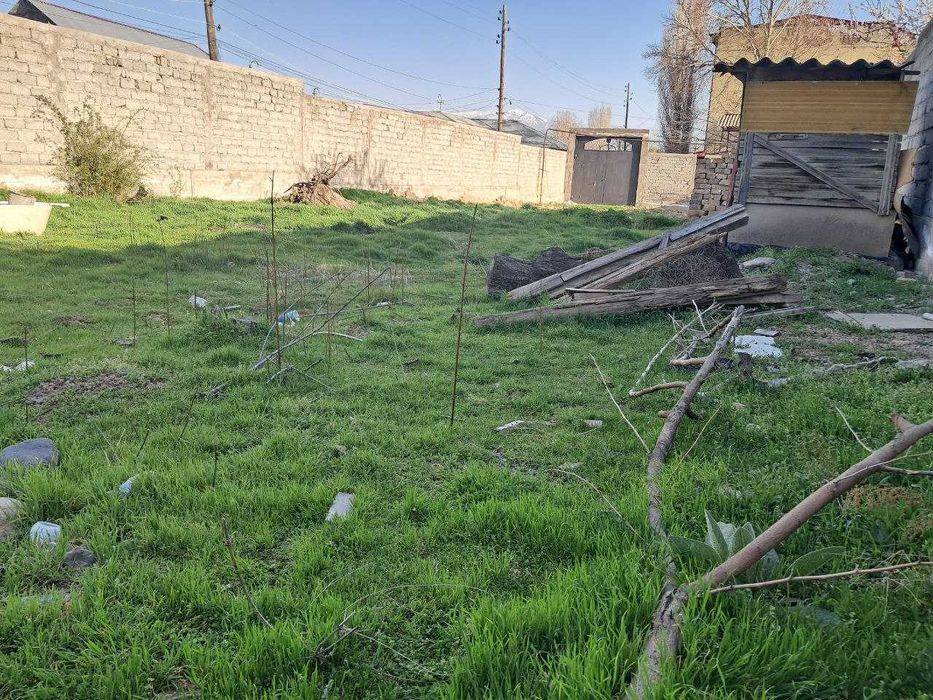 Gazalkent dacha uchastka uchun tayyor joy sotiladi