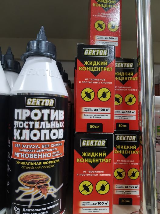 Гектор от Клопов и Тараканов