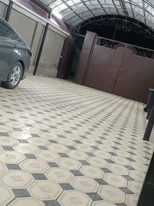 бурчатка койамыз Шымкенте