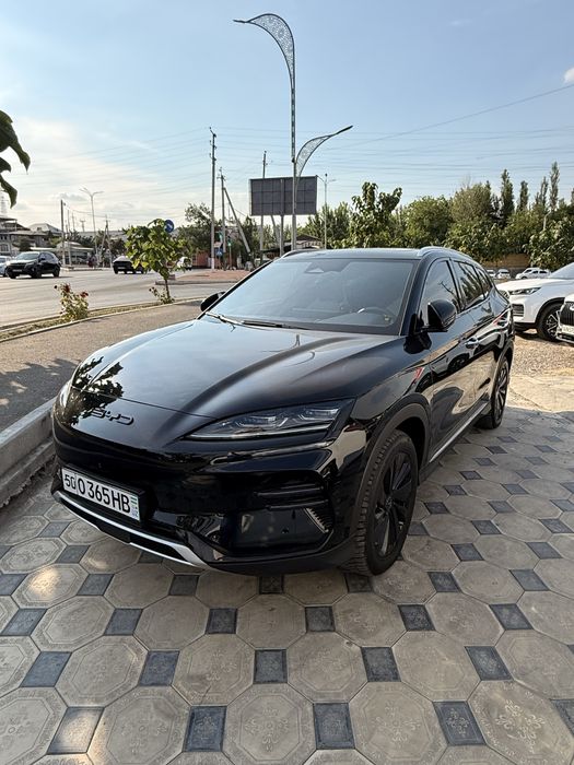 BYD champion 605 tali honir pozitsa kiraska tozza 84ming yurgan