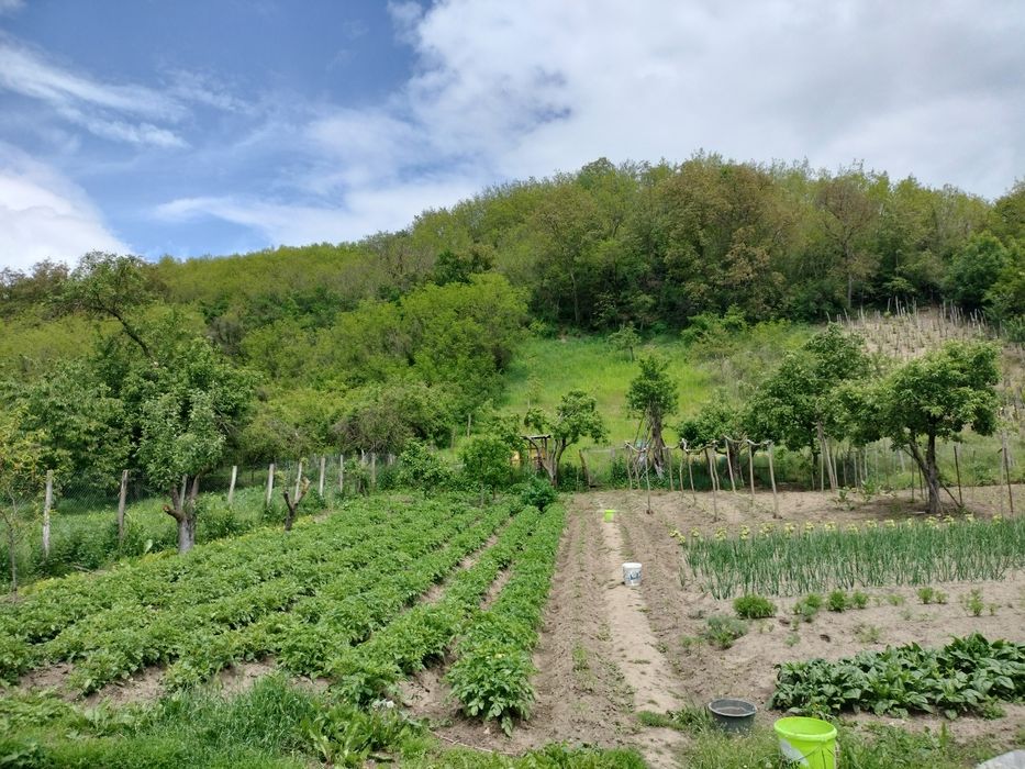 Casa de vacanta sau locuit !