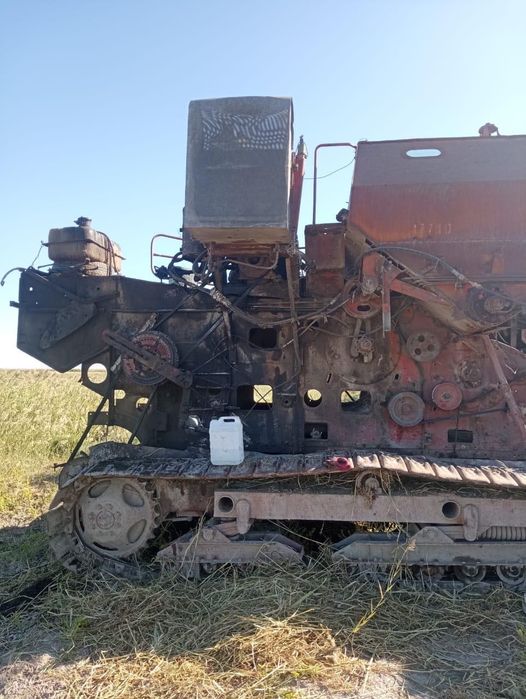 Енесей жатка гусинечный