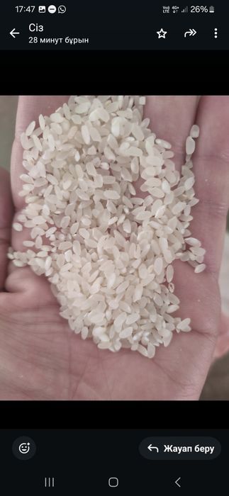 Күріш азық түлік