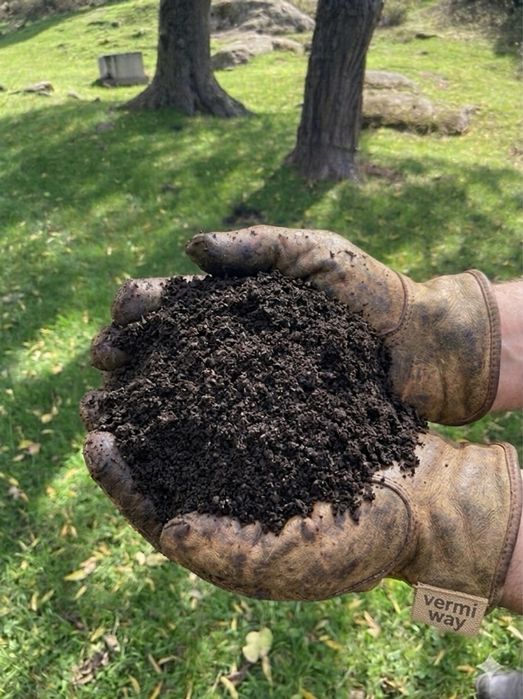 Биогумус удобрение