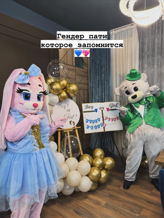 Костюм аниматора