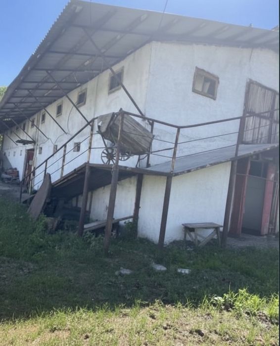 Продам конюшню, постой для лошадей