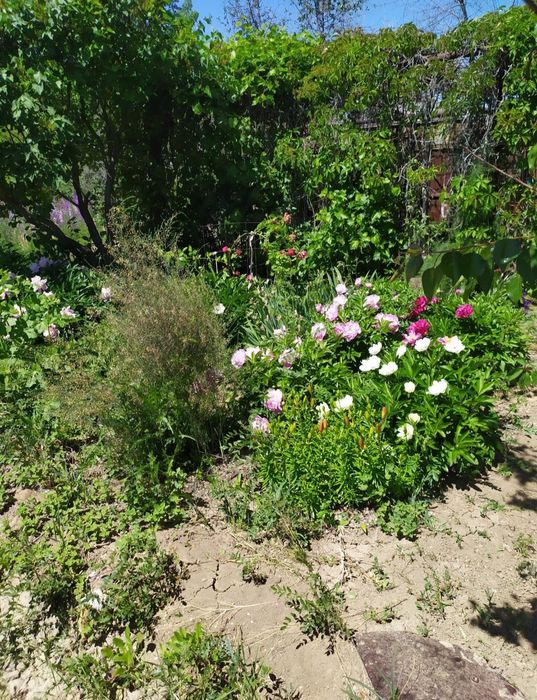 Земельный участок