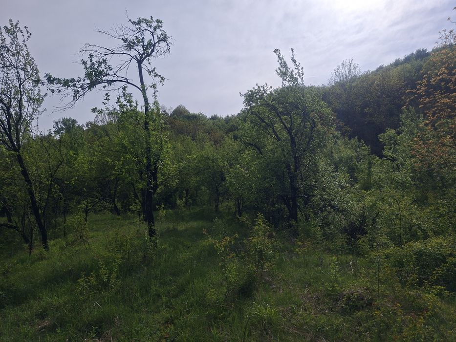 Vant teren extravilan