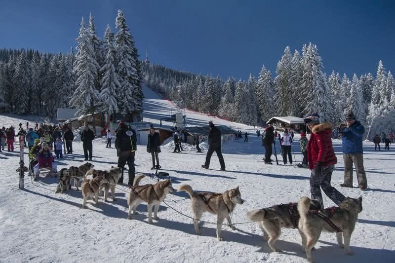 Дава се под наем Тристаен апартамент в к.к. Пампорово - 90 кв.м за 109.65 € - Снимка #7