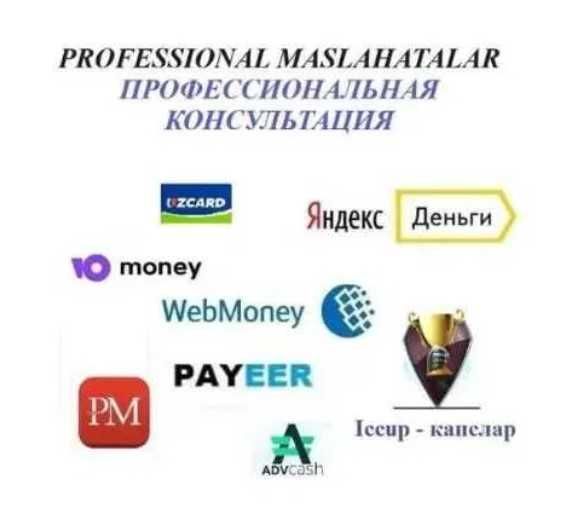 Professional maslahatlar Webmoney, Консультация по Вебмани