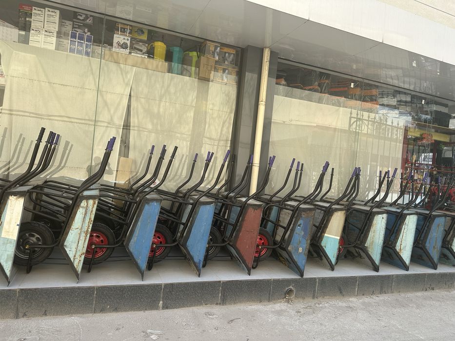 Телешка разный Арава Arava