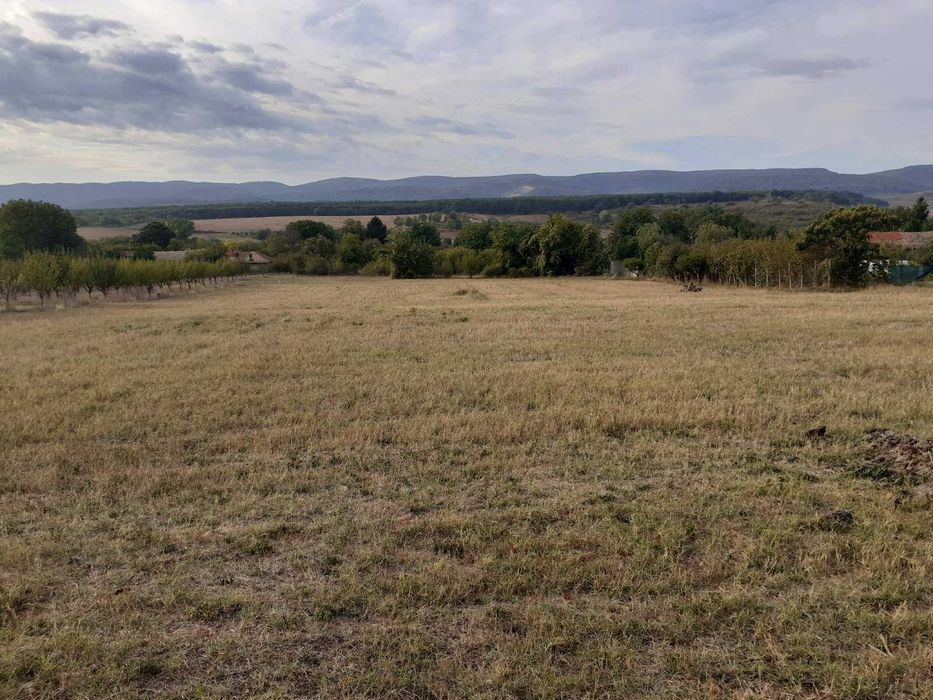 Продава парцел (дворно място), с. Певец, област Търговище