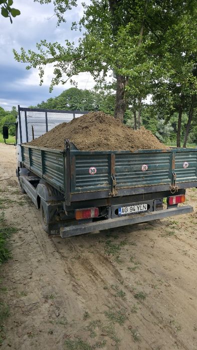 Pamant de gradina Chisai de gazon sau mranita