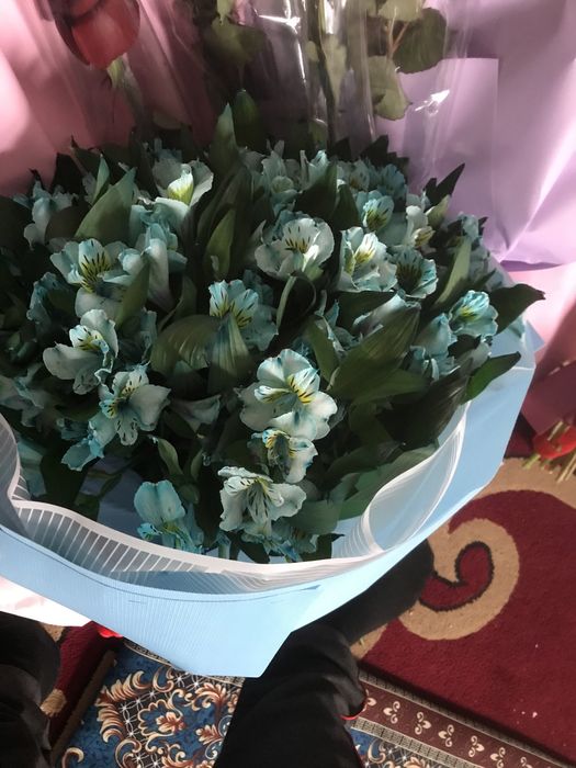 Гул сатылады арзанырақ бағада