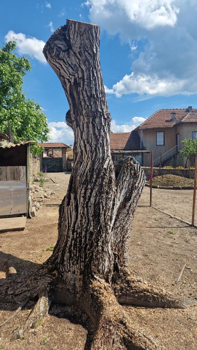 Орех за материал