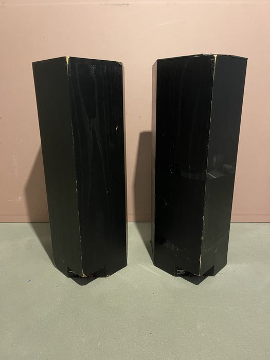 Boxe Bowers & Wilkins DM2000 functionale