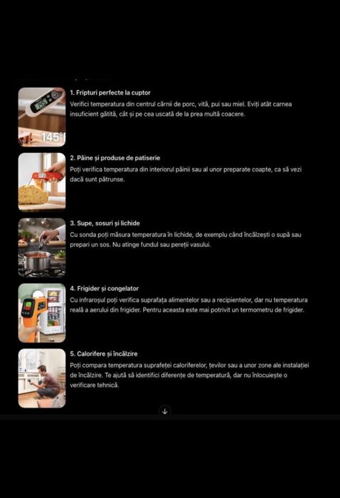 Termometru digital profesional destinat masurarii temperaturii in domeniul alimentar