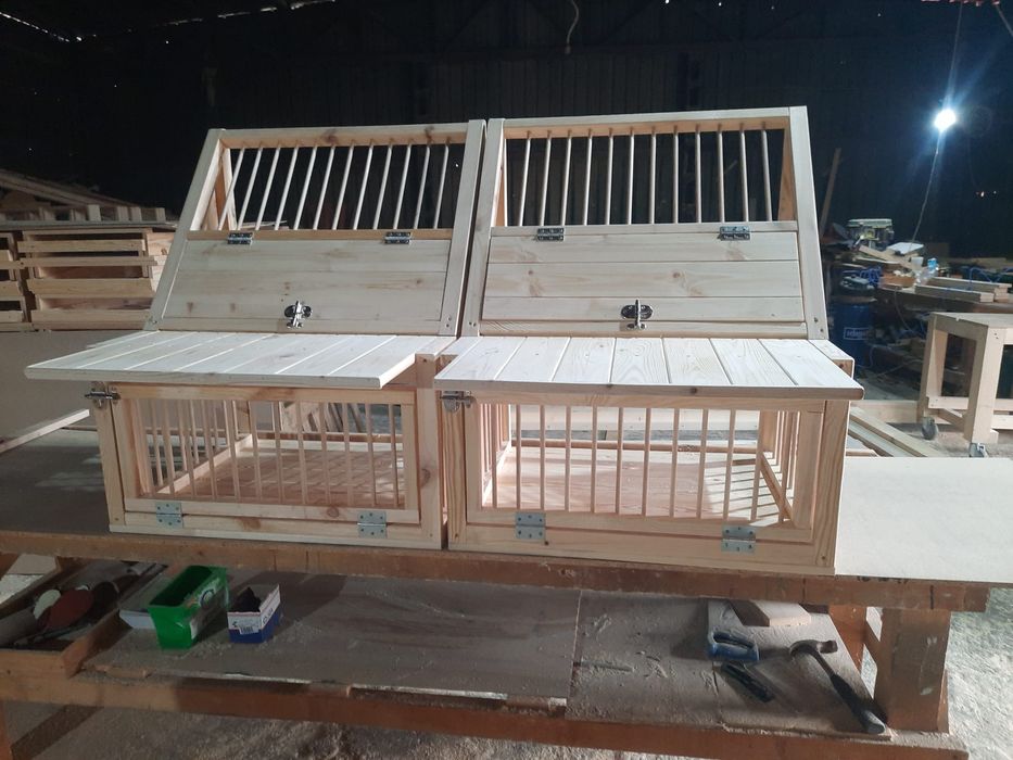 Sputnic/ intrare porumbei