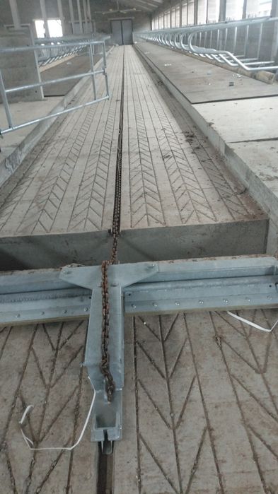 Битон жумыс жасаимыз лубои