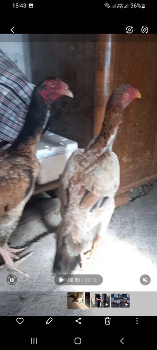 Обмен нету вообще