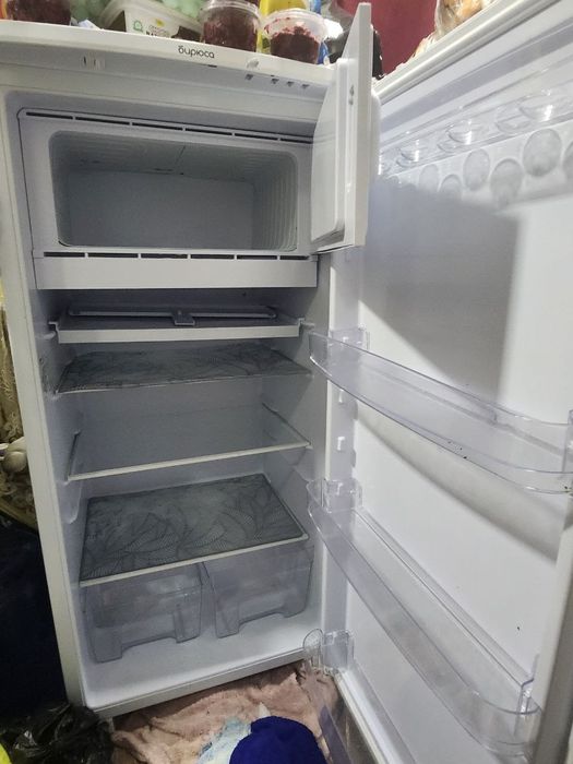 Холодильник Бирюса