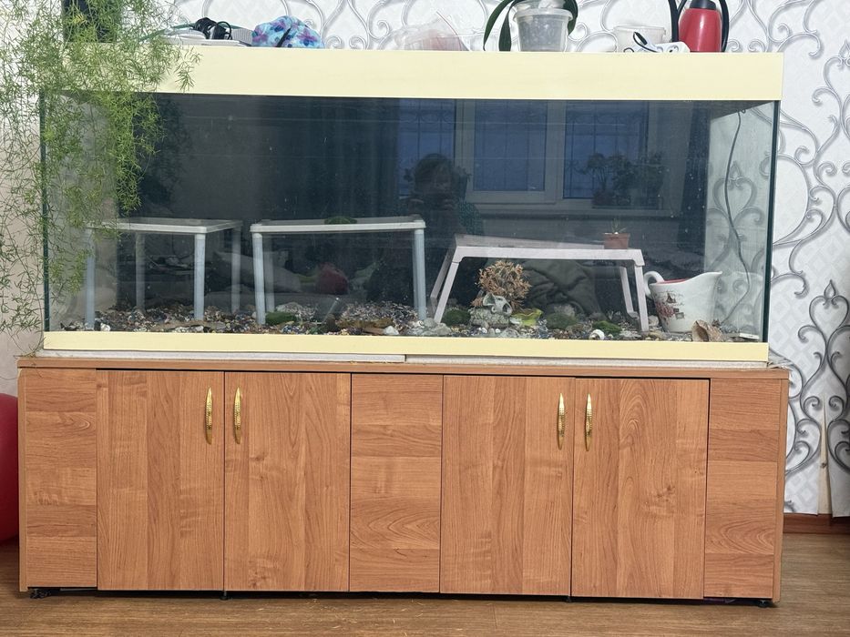 Продается  аквариум 600 литров, .
