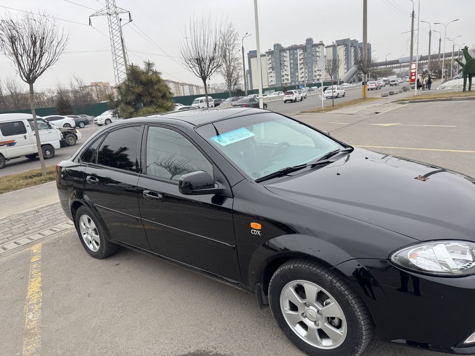 jentra 2022 kichkina petno bor