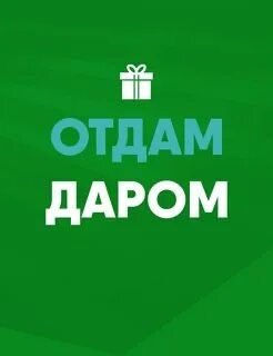 Отдам даром вещи на мальчика