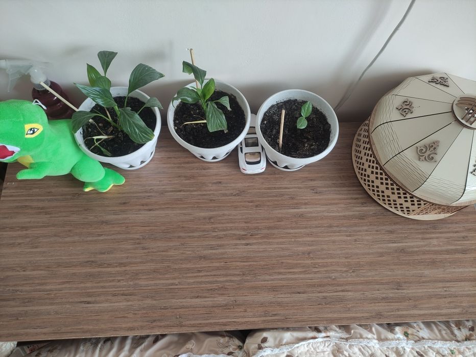 Продаётся тумба срочно