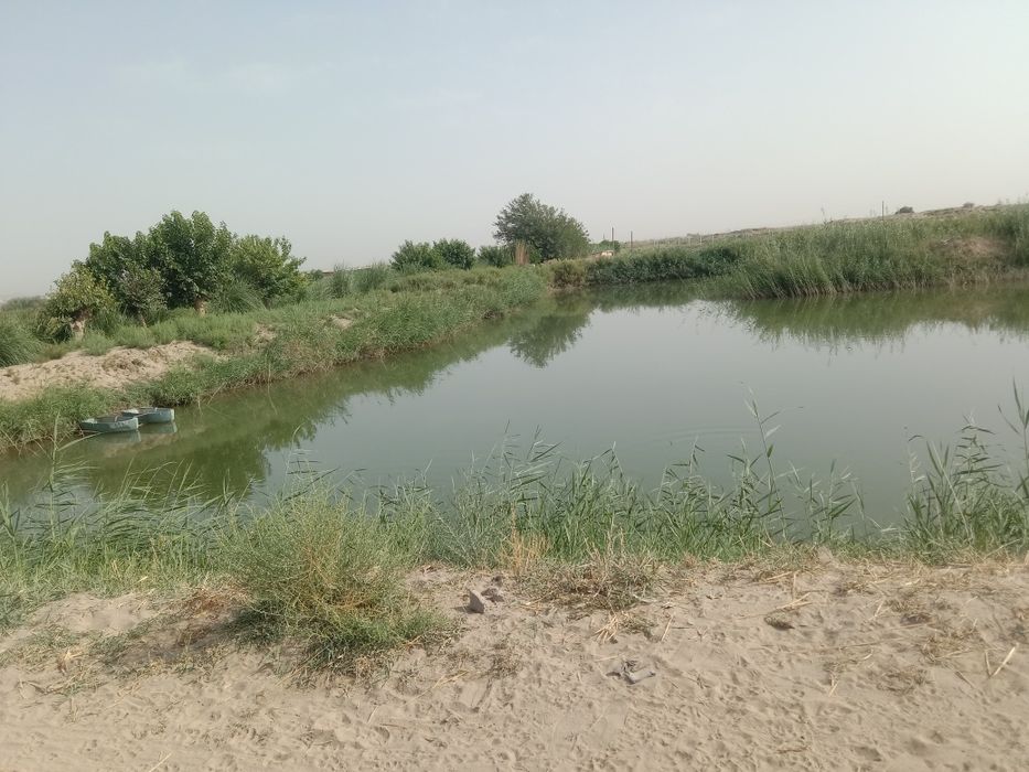 Чорвачилик  Балиқчилик  Ферма  сотилади