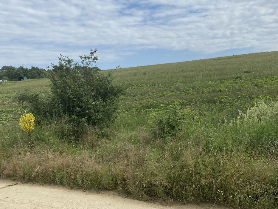 Продава се Земеделски имот в с. Старо Оряхово, Област Варна -  кв.м за 3549 €/дка - Снимка #11