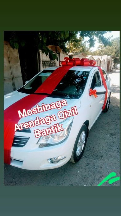 Аренда Moshinaga qizil bantik band arendaga