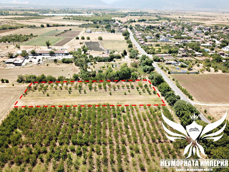 Продава се Парцел в с. Моминско, Област Пловдив - 7002 кв.м за 13 €/кв.м - Снимка #7