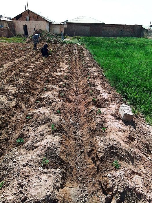 Зудлик билан ховли сотилади 5 хонали уйи мавжуд 20 сотих  ер майдон