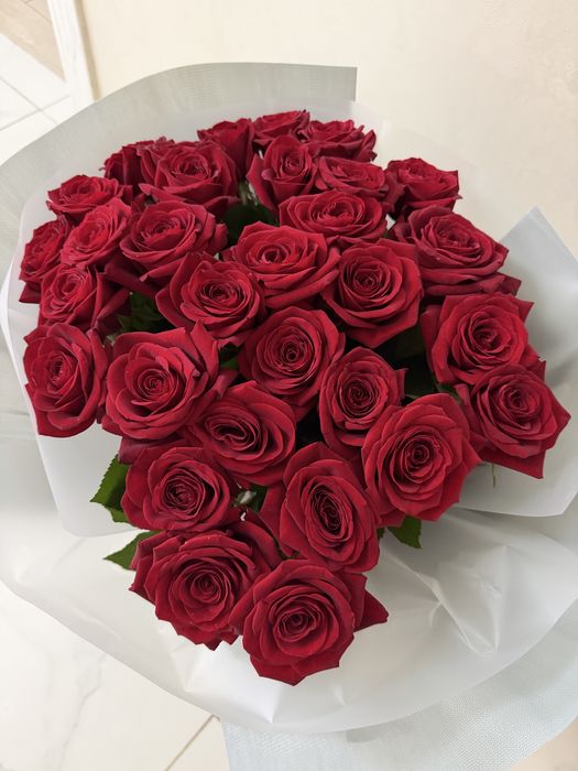 Розы темно красные