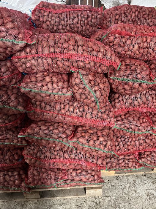 Cartofi samanta Esmee